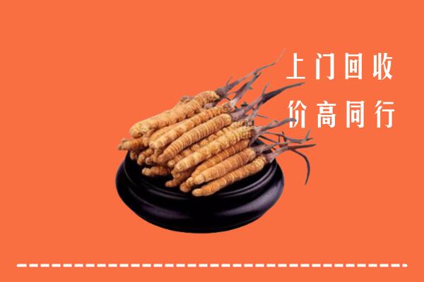 收购行情：河池市冬虫夏草回收多少钱每克