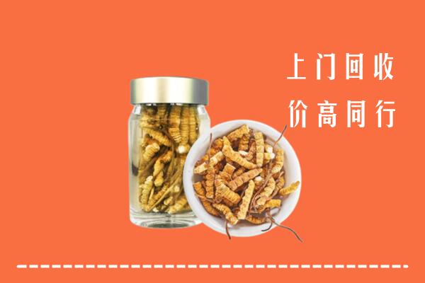 附近收购：河池市回收冬虫夏草